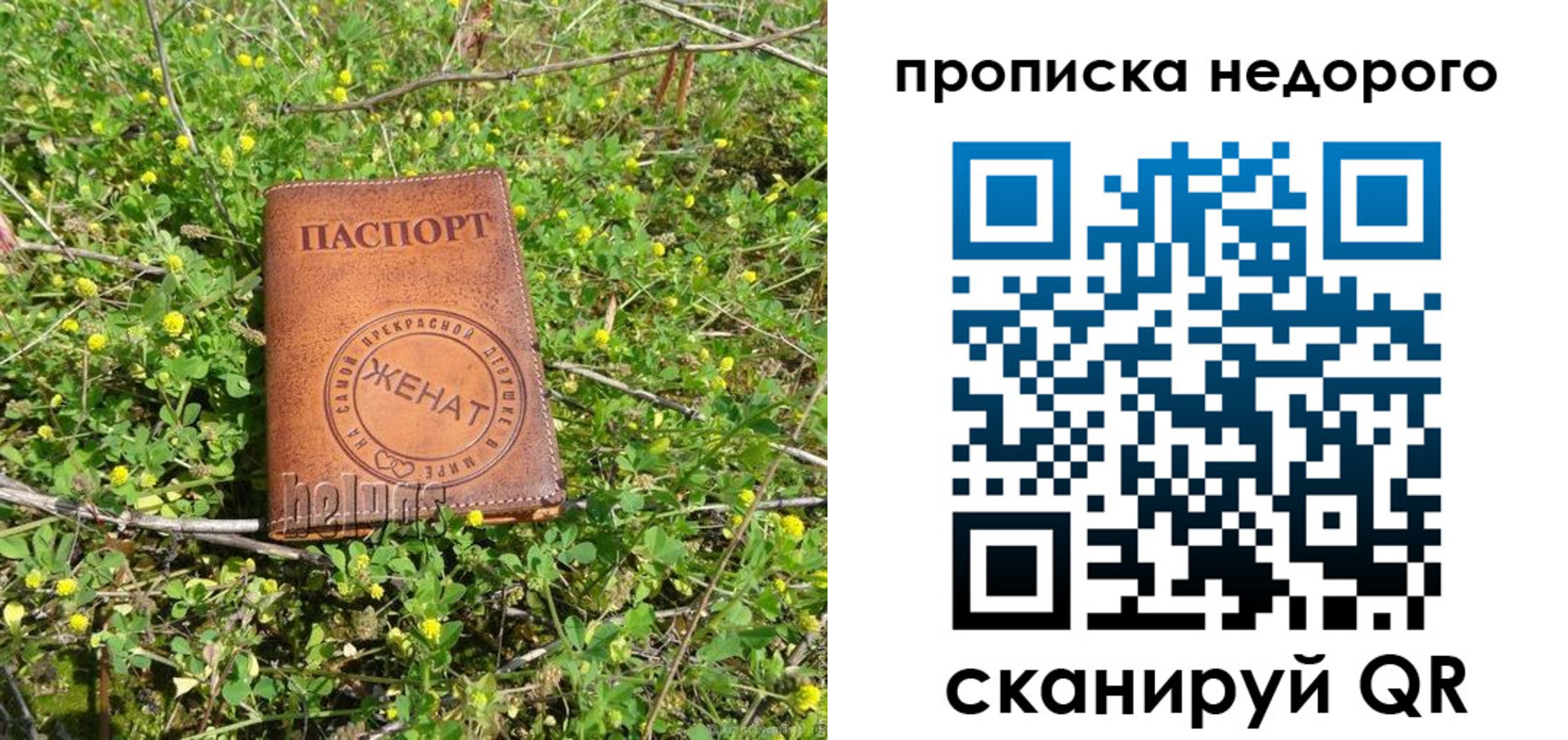 регистрация для дет. сада в Павловске