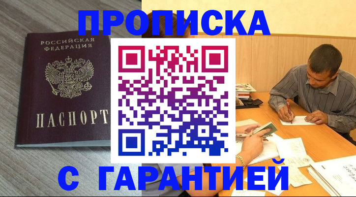 прописка поиск в Павловске